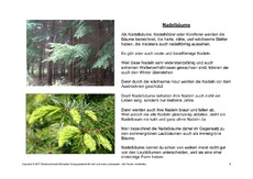 Bäume-Lesetext-8.pdf